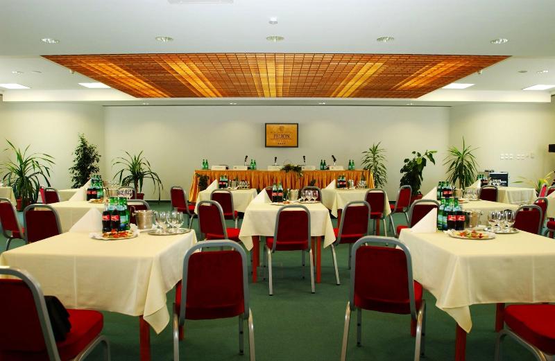 Hotel Pelion - Toplantı