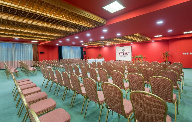 Hotel Pelion - Toplantı
