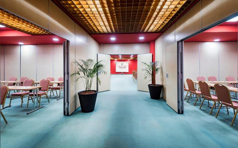 Hotel Pelion - Toplantı