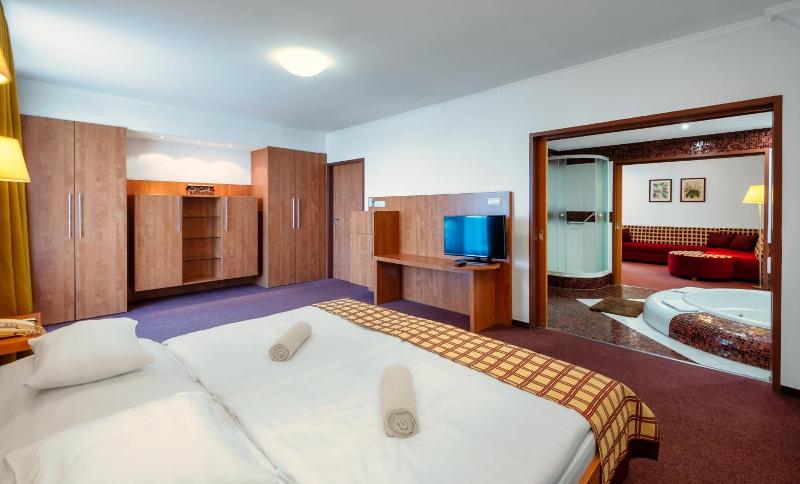 Hotel Pelion - Genel