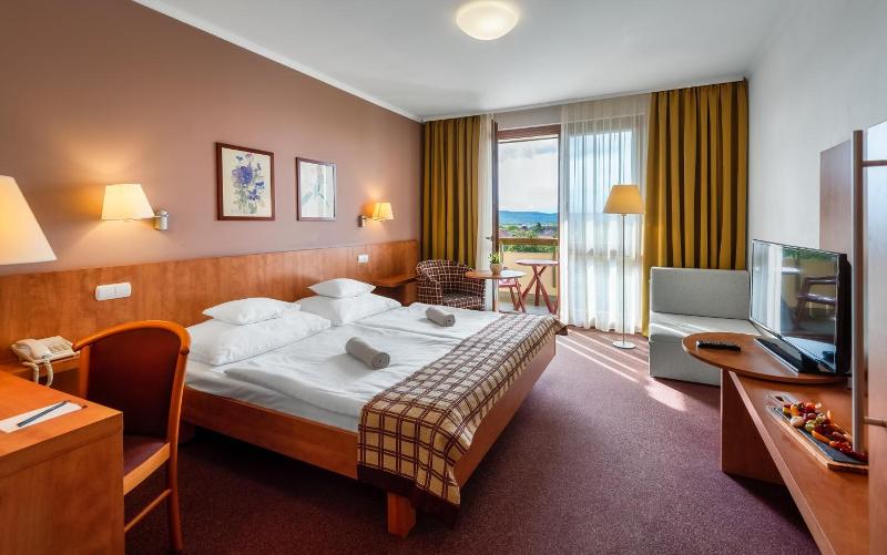 Hotel Pelion - Genel