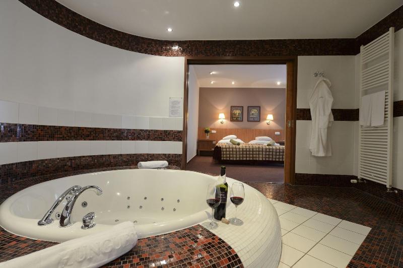 Hotel Pelion - Oda