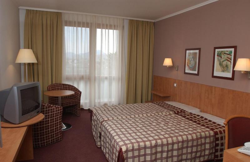 Hotel Pelion - Oda