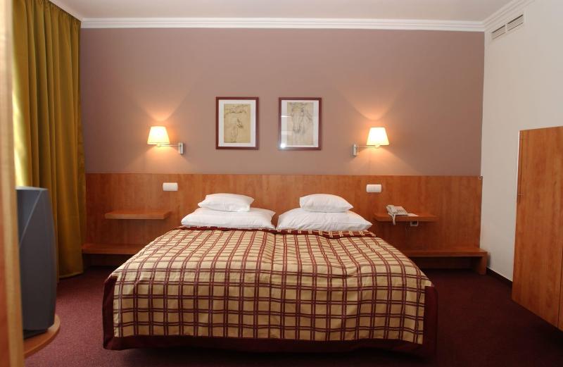Hotel Pelion - Oda