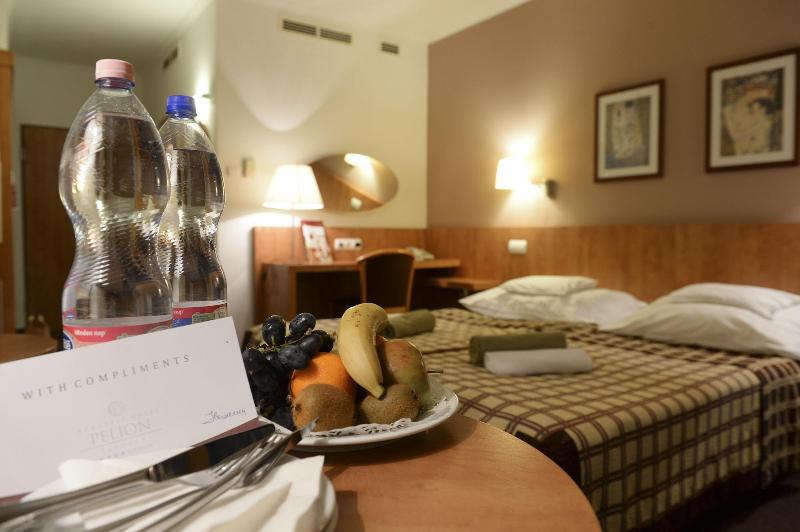 Hotel Pelion - Oda
