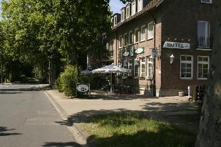Heidekönig fotoÄŸrafÄ±