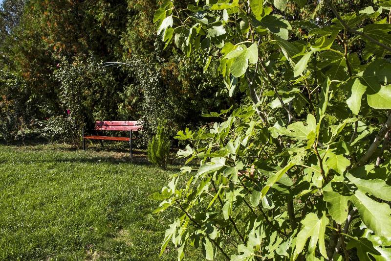 Feng Shui Wellness Apartmanház - Genel