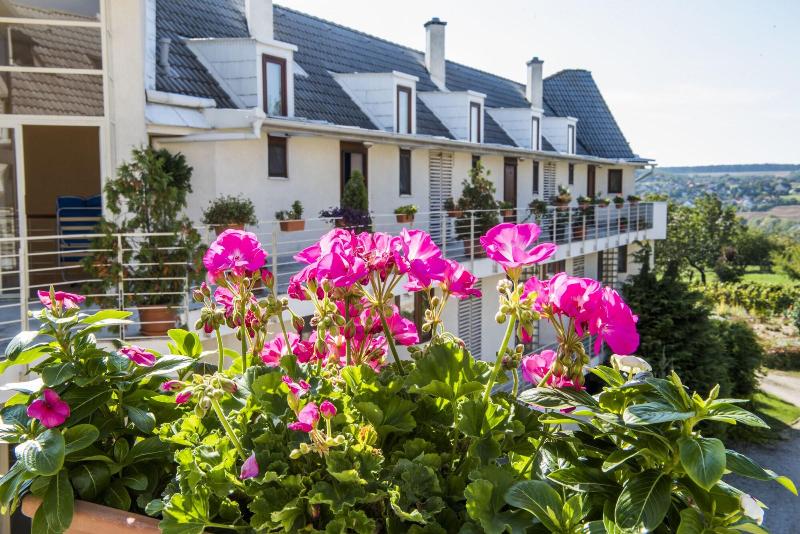 Feng Shui Wellness Apartmanház - Genel