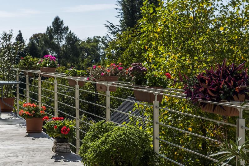 Feng Shui Wellness Apartmanház - Teras