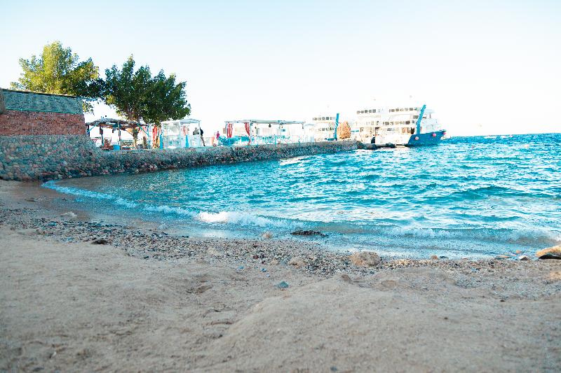 Sun and Sea - Plaj