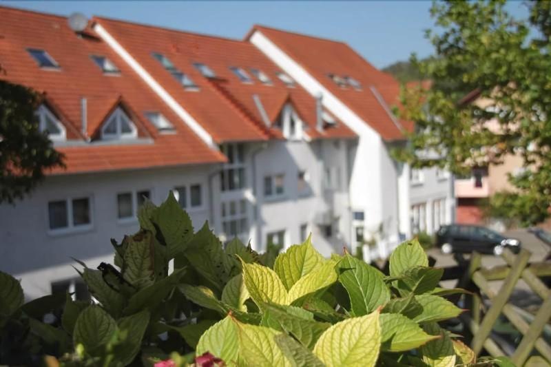 Hotel Leo Mühlhausen - Genel