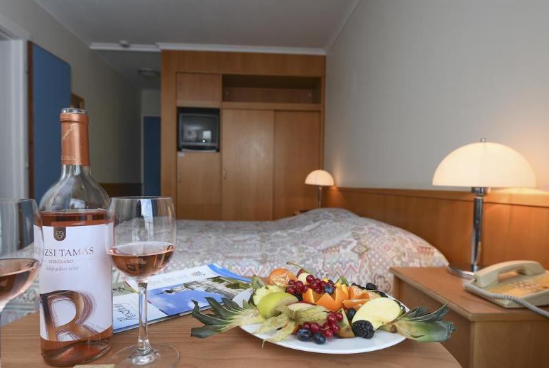Hotel Helikon - Genel