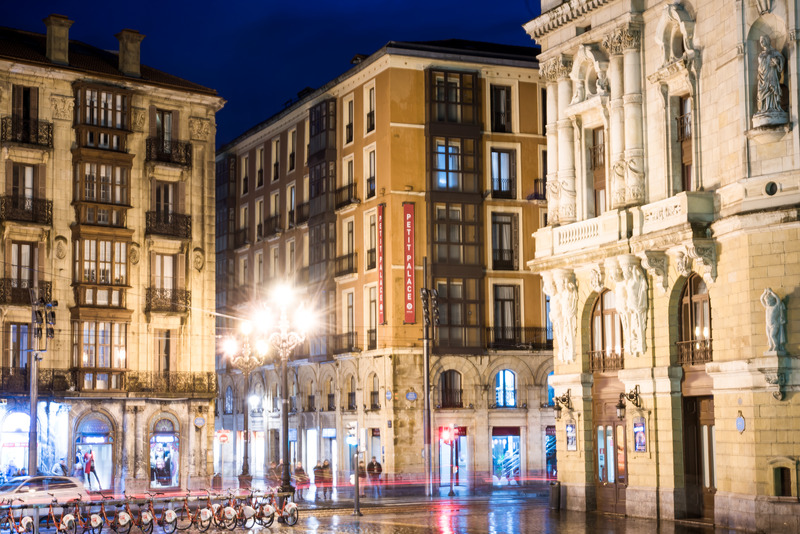 Petit Palace Arana Bilbao - Genel
