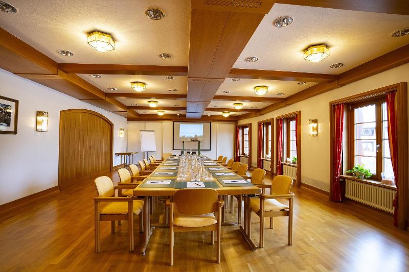 Bio- und Wellnesshotel Alpenblick - Toplantı