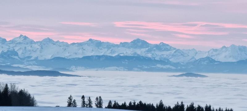 Bio- und Wellnesshotel Alpenblick - Genel