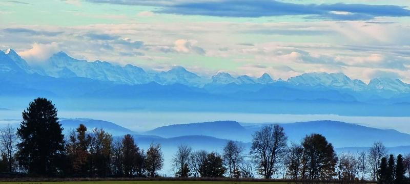 Bio- und Wellnesshotel Alpenblick - Genel