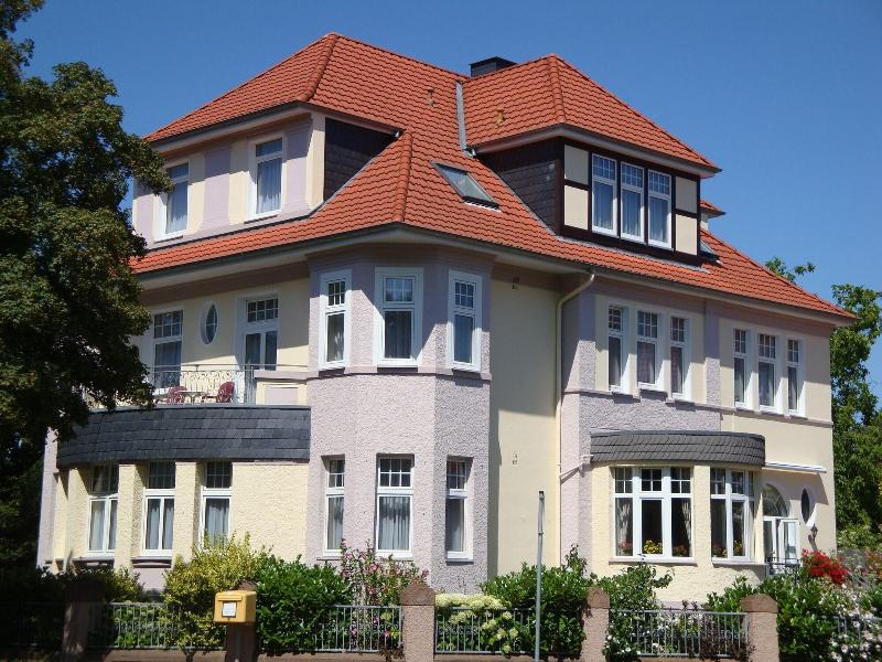 Bellevue - Genel