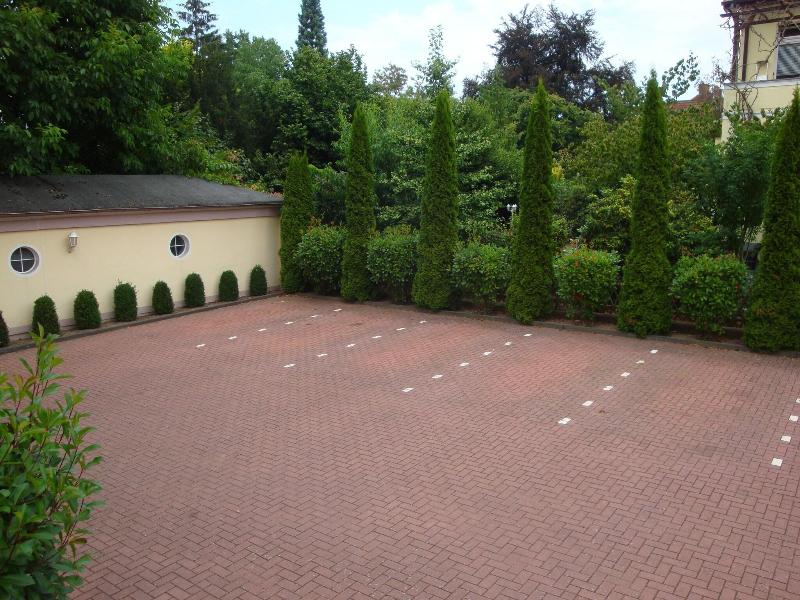Bellevue - Genel