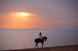 Club Paradisio El Gouna Red Sea fotoÄŸrafÄ±