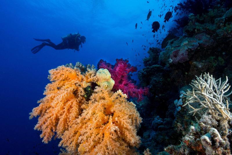 Club Paradisio El Gouna Red Sea - Aktivite