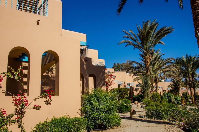 Club Paradisio El Gouna Red Sea - Teras