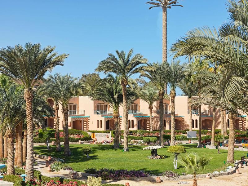 Club Paradisio El Gouna Red Sea - Teras
