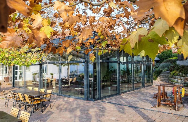 Hotel Zenit Balaton - Genel