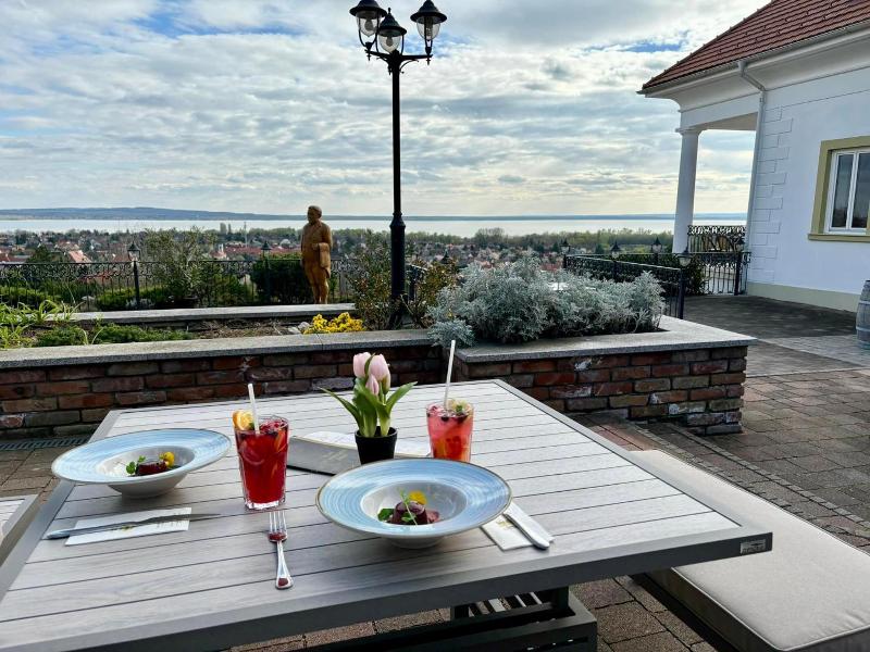 Hotel Zenit Balaton - Genel