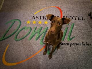 Astralis Hotel Domizil fotoÄŸrafÄ±