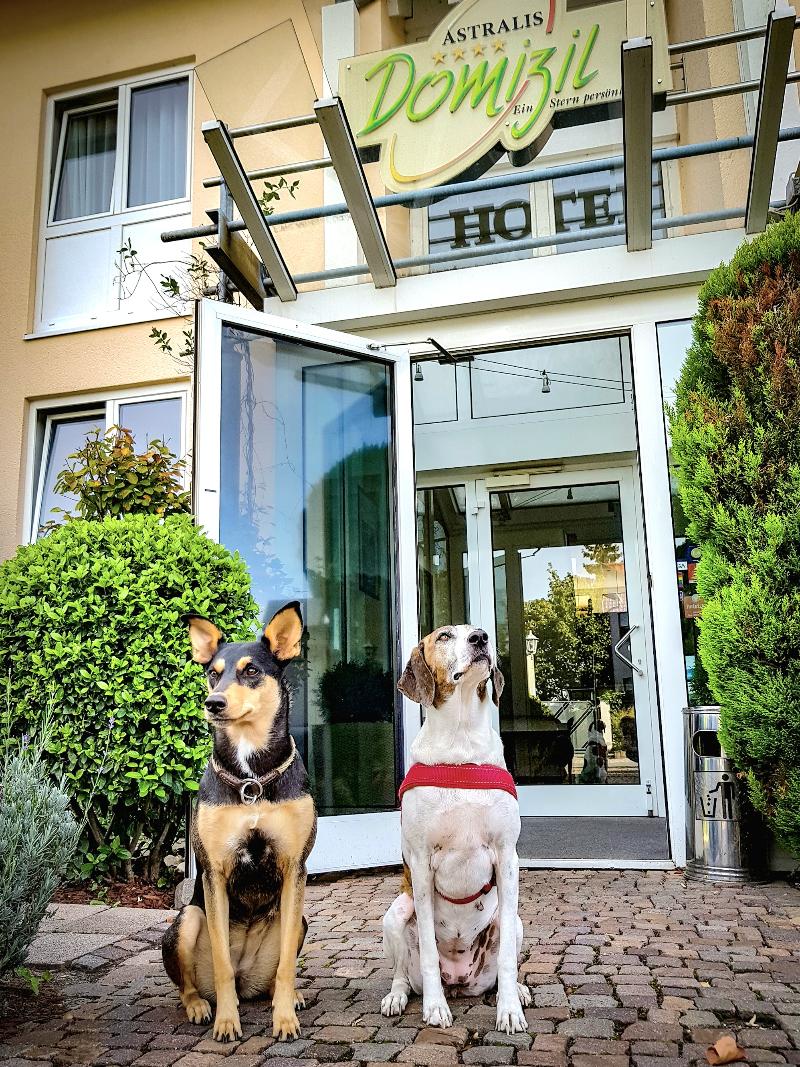 Astralis Hotel Domizil - Genel
