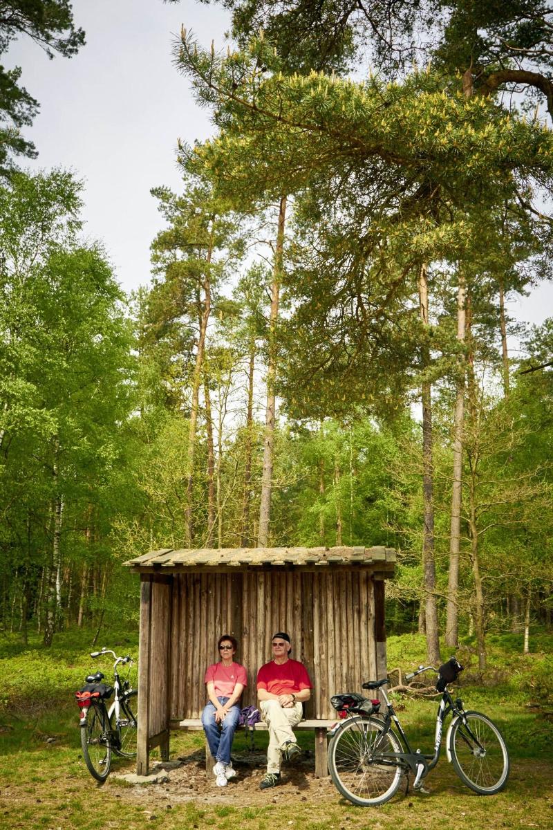 Landhaus Haverbeckhof - Aktivite