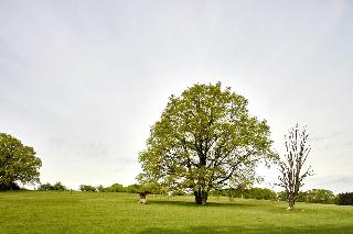 Landhaus Haverbeckhof fotoÄŸrafÄ±