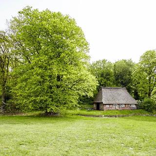 Landhaus Haverbeckhof fotoÄŸrafÄ±
