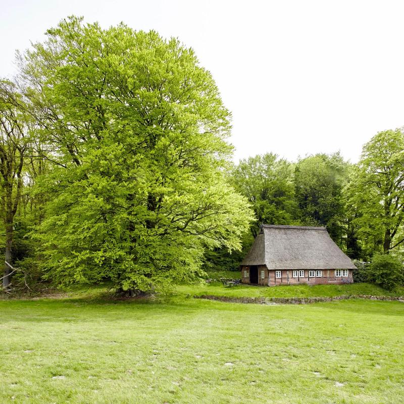Landhaus Haverbeckhof - Genel