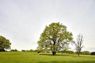 Landhaus Haverbeckhof fotoÄŸrafÄ±