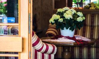 Acht Linden fotoÄŸrafÄ±