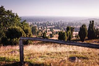 Acht Linden fotoÄŸrafÄ±