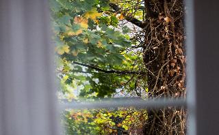 Acht Linden fotoÄŸrafÄ±