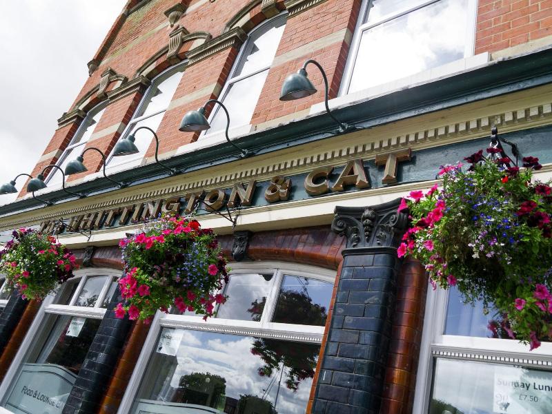 The Whittington & Cat - Genel
