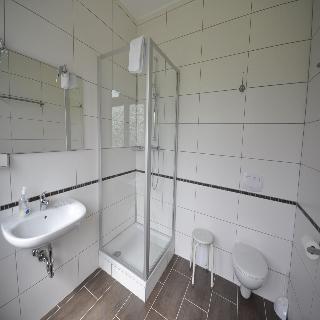 Drei Bären fotoÄŸrafÄ±