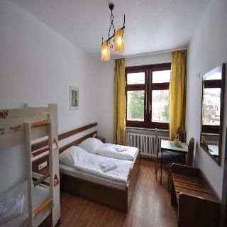 Drei Bären fotoÄŸrafÄ±
