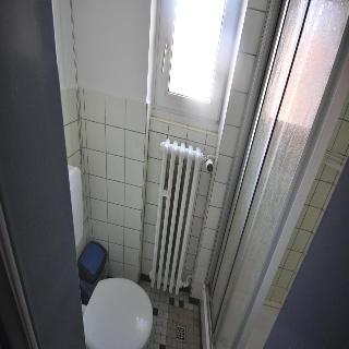 Drei Bären fotoÄŸrafÄ±