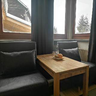 Drei Bären fotoÄŸrafÄ±