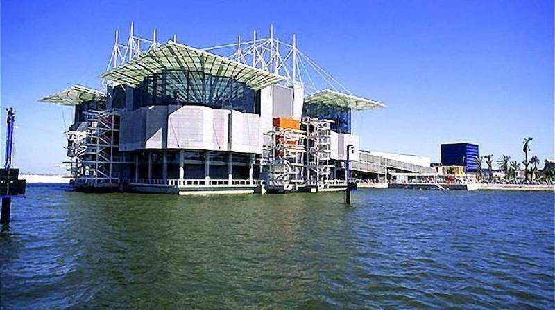 Radisson Blu Hotel, Lisbon - Genel