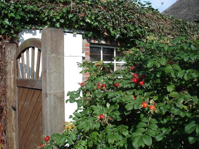 Landhotel Tetens Gasthof - Genel