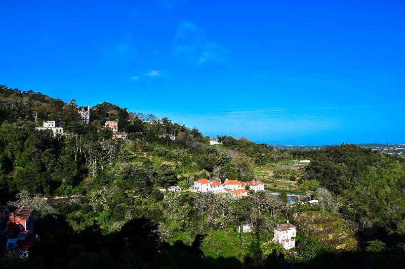 NH Sintra Centro - Genel