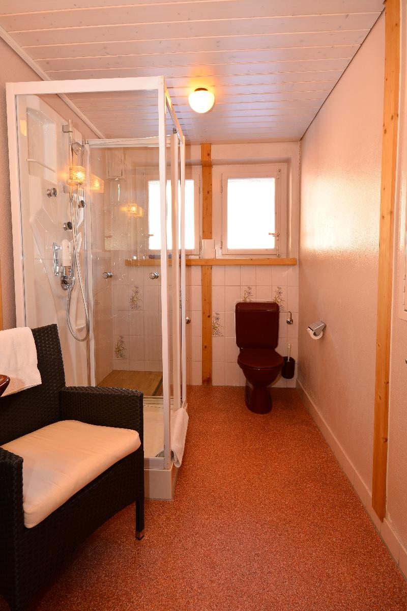 Hotel Roessli - Oda