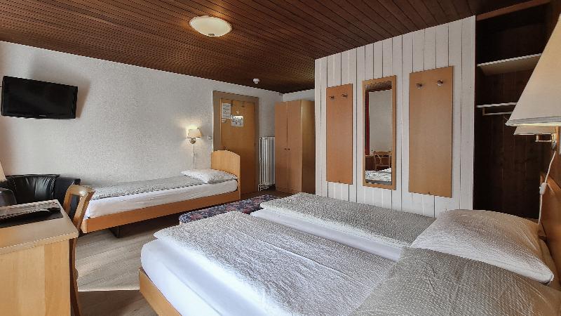 Hotel Roessli - Oda