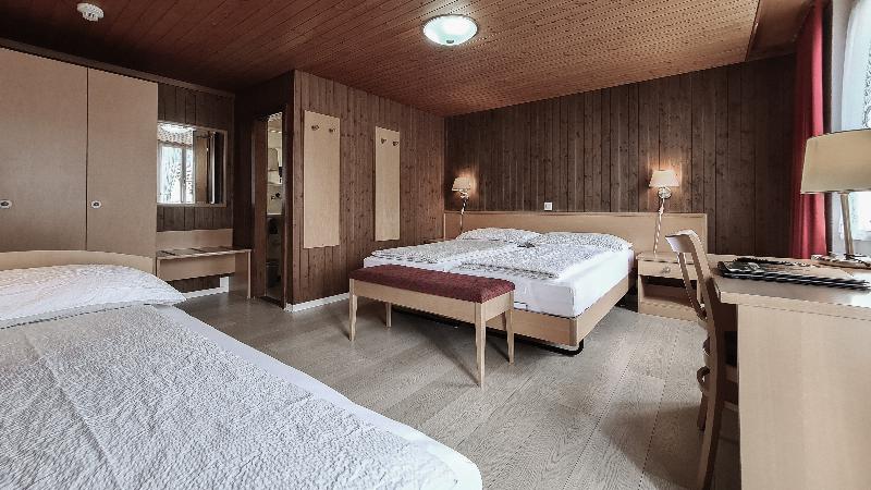 Hotel Roessli - Oda