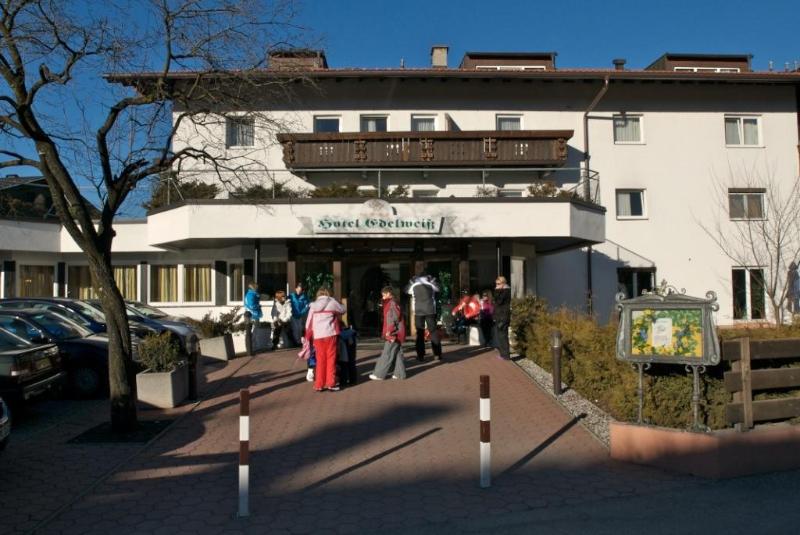 Edelweiß - Genel